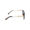 Picture of ZIPPO SUNGLASSES BROWN